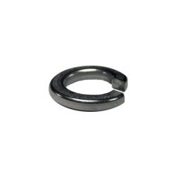 1/2 LOCK WASHERS S/S