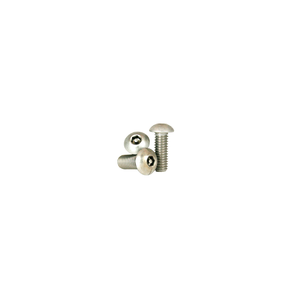 10-24 x 3/8 18-8 Stainless Tamper-Resistant Button Head Socket Cap Screw