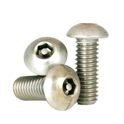 1/4-20 x 1 18-8 Stainless Tamper-Resistant Button Head Socket Cap Screw