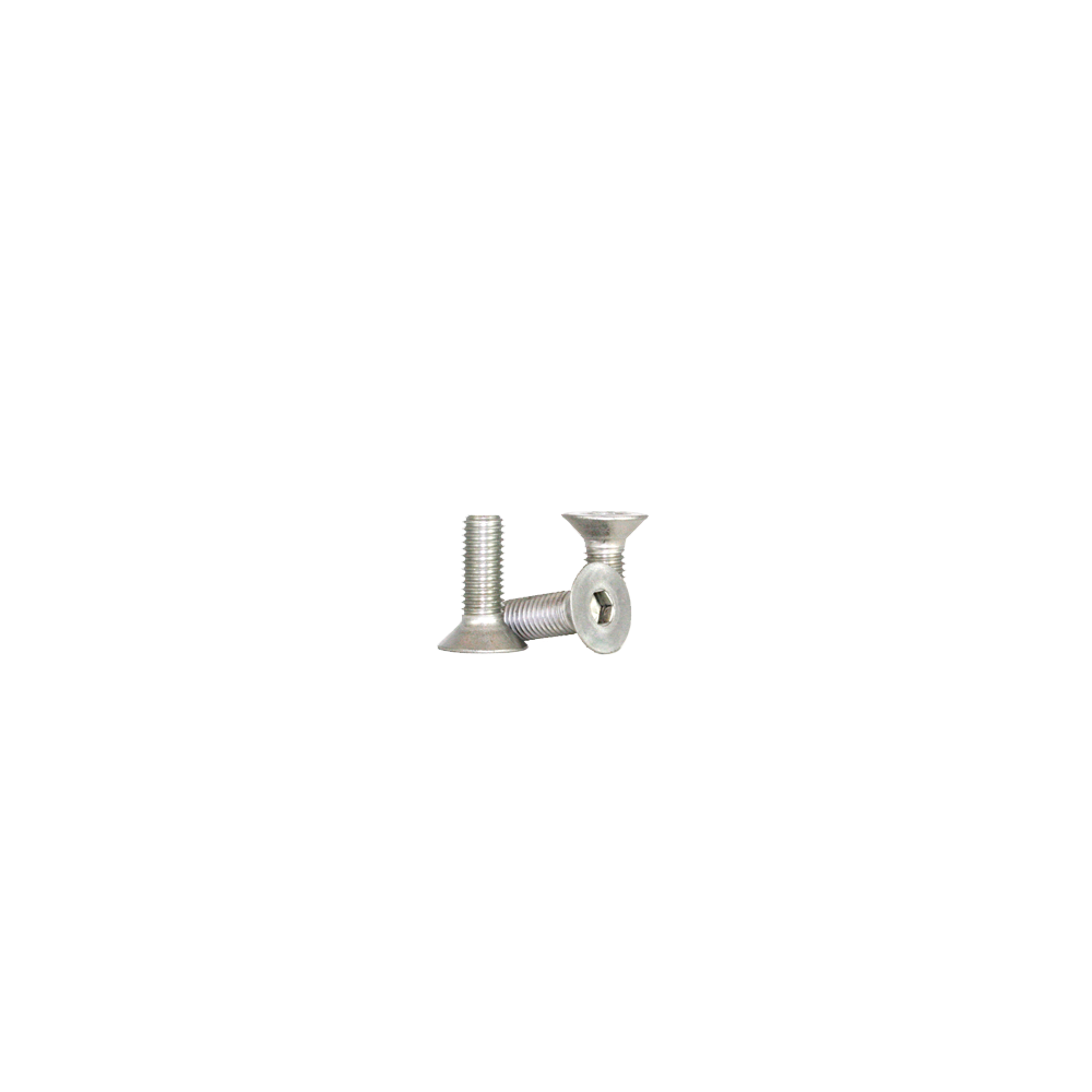 M5-0.8 x 12 Flat Soc Cap Scr 18-8 S/S