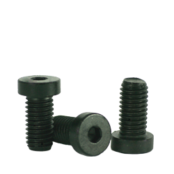 10-32 x 1/2 Alloy Steel Low Head Socket Cap Screw, Thermal Black Oxide