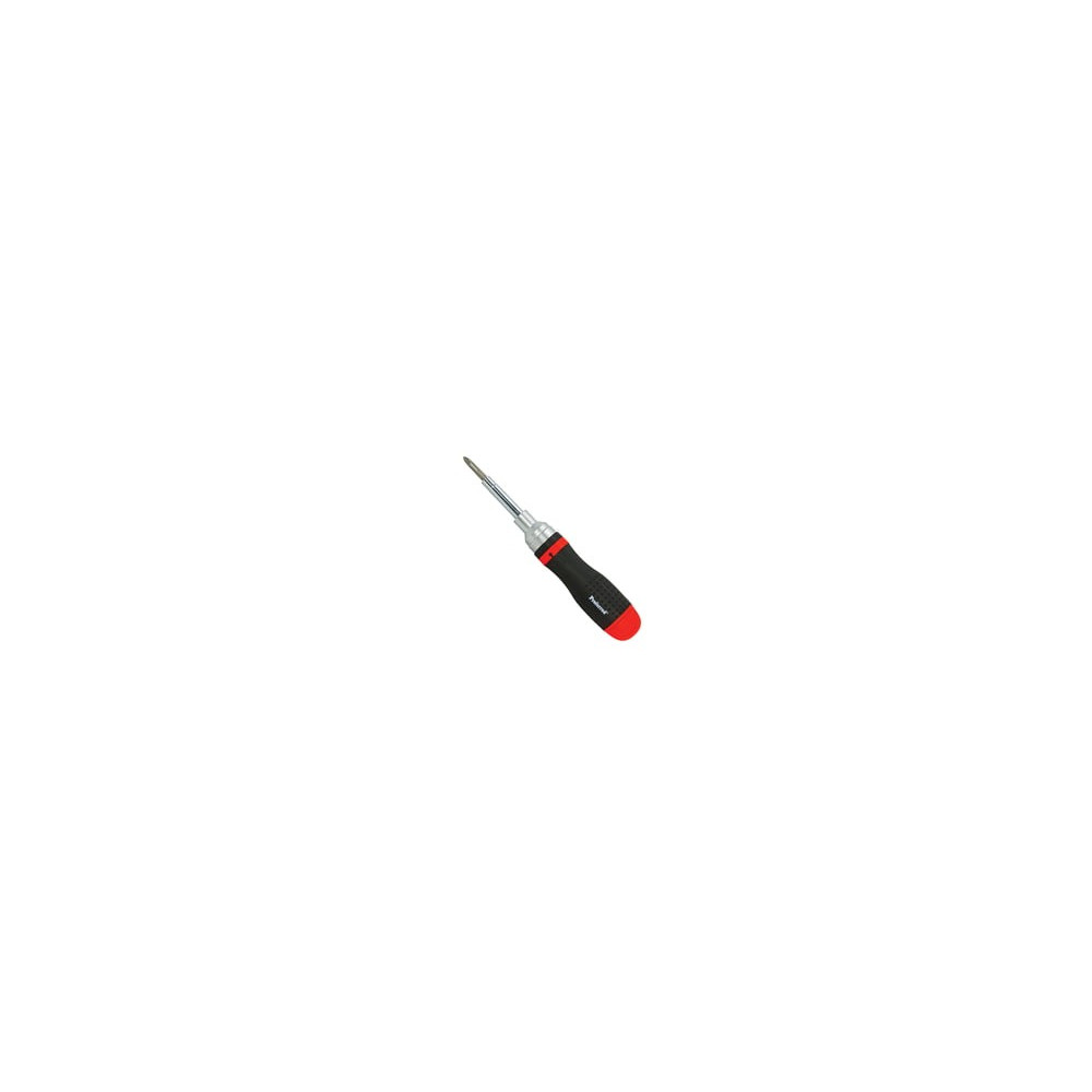 Ratch 19 Pc in 1 Interch Bit Screwdriver