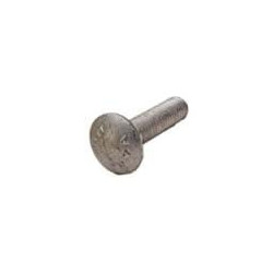 1/2-13 x 2 CARRIAGE BOLT GALV