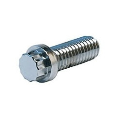 10 PC BAG CHROME 1/4-28 X 1-3/4 12 PT S