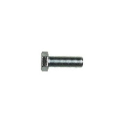 1/2-20 x 2 3/4 Hex Hd Cap Scr 316 S/S