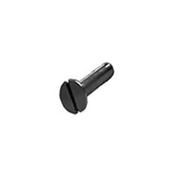 1-8x2 Slot Flat Csk Cap Scr GR2