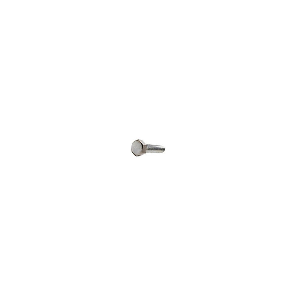 1/4-20 x 4 Tap Bolt – Zinc