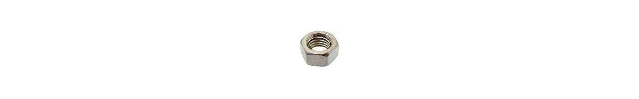 Stainless Hex Nuts