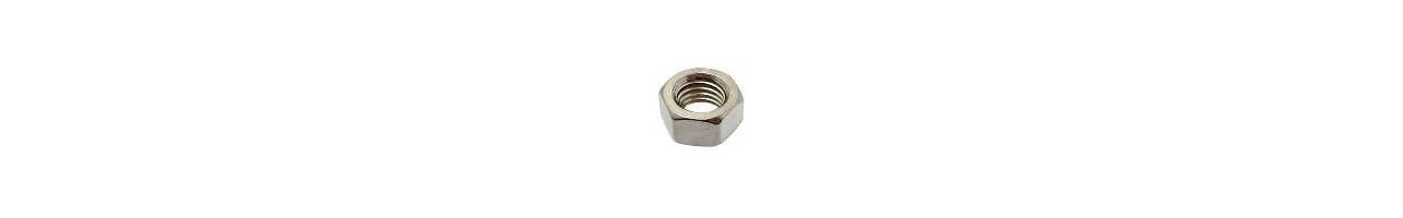 Stainless Machine Screw Nuts