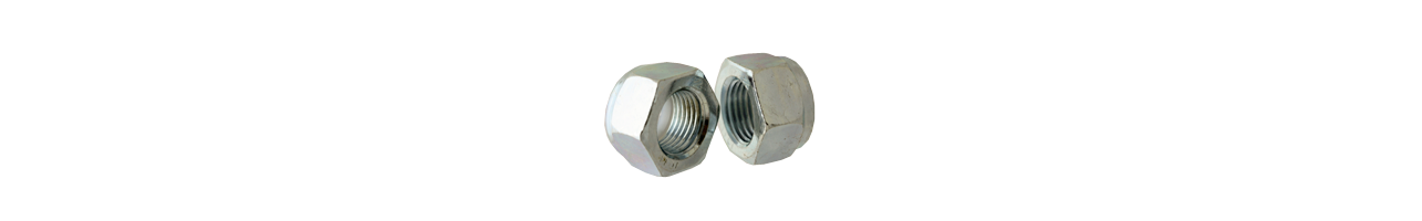 Heavy Nylon Insert Lock Nuts