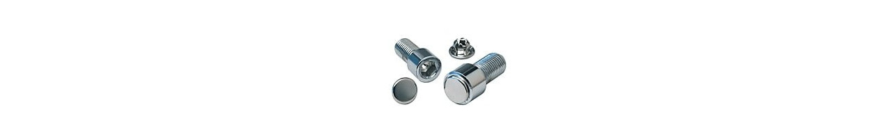 Chrome Steel Hole Plugs