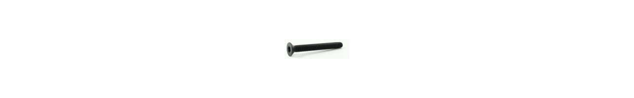 Floorboard Screw