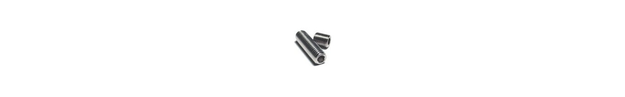 A-2 Metric Stainless Socket Set Screws