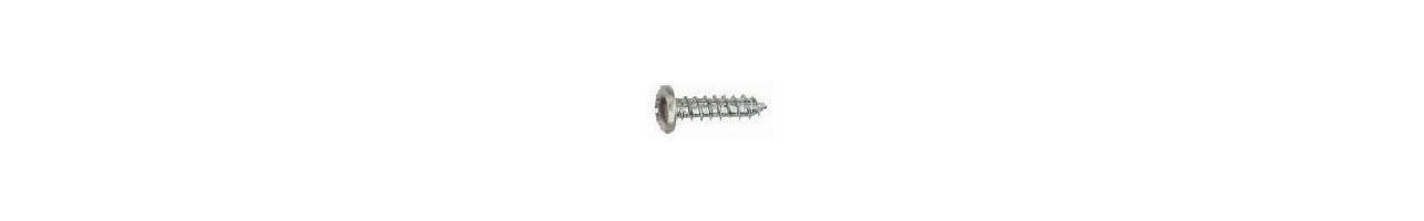 Phillips Pan Sheet Metal Screw Type B