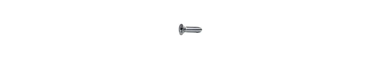 Phillips Flat Thread Cutting Screw Type F