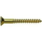 Brass Wood Screws