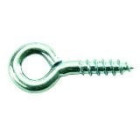 Eye Lag Screws
