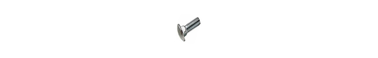 Carriage Bolts Zinc