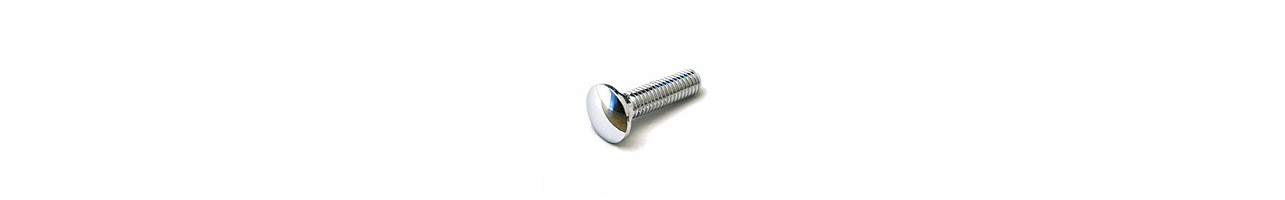 Chrome Carriage Bolts