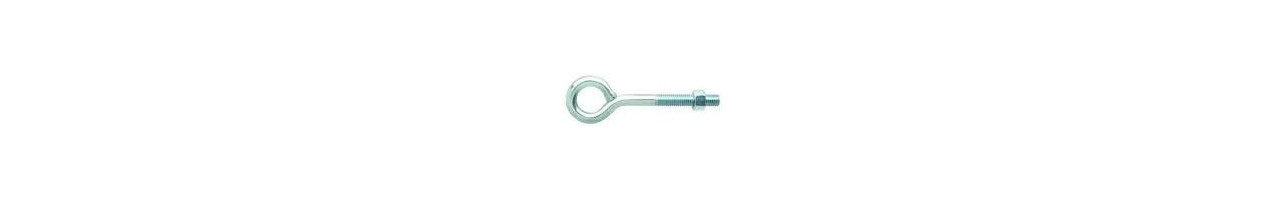Eye Bolts w/ Nut