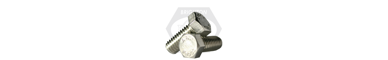 18-8 Stainless Hex Cap Screws