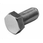 Polished S/S Hex Head