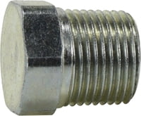 1/4-19 BSPT PLUG