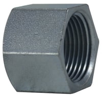 1/4 GALV STEEL HEX CAP