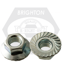 M8-1.25 FLANGE LOCKNUT Z