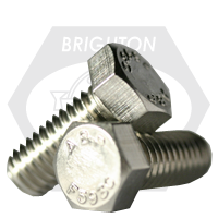 1/4 20 x 4 HEX HEAD CAP SCREW S/S