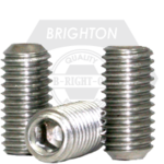 8-32 x 1 SOCKET SET SCREW CUP PT S/S